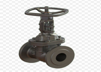 Custermized Steel Gate Valves DN10-DN50 Small Size For Industry