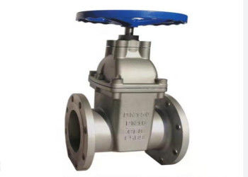 Single Wedge Manual Butterfly Valve Class 150LB-1500LB Stainless