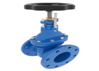 150lb To 1500lb Pressure Class Bolted Bonnet Steel Gate Valves