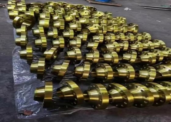 Class 2500 Hot Galvanized Steel Flanges for Construction Projects