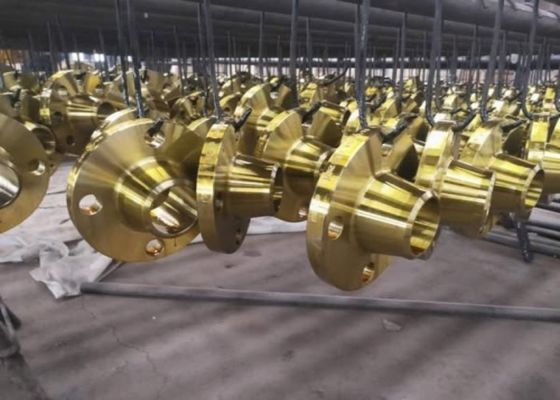 Slip On Welding Steel Pipe Flanges For NBR/Viton Diaphragm Connections