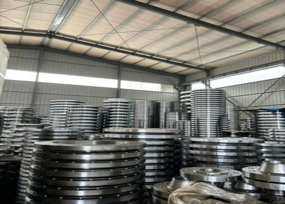 GOST Standard Steel Flanges Customized Cast Steel/WCB/WC6/stainless Steel Body