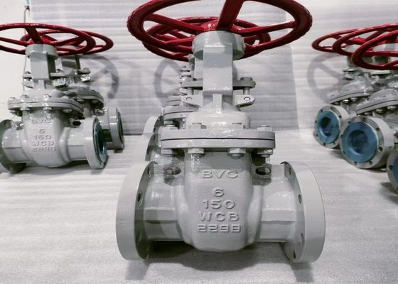 1/2 Inch Bolted Bonnet Valve OEM Services for High Growth Markets Customized