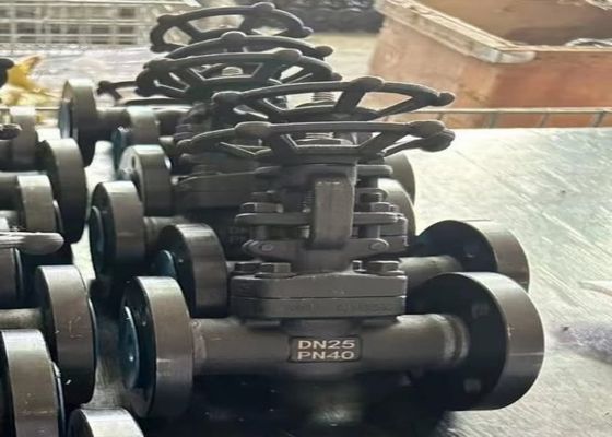 1/2 Inch Steel Valves With Bolted Bonnet Body Style And ODM Customized Support