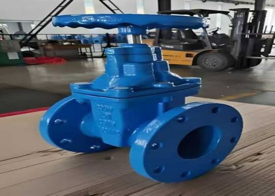 1/2 Inch Bolted Bonnet Steel Valves for Gate Valve Port Size DN10-DN50 and Class 150lb-1500lb