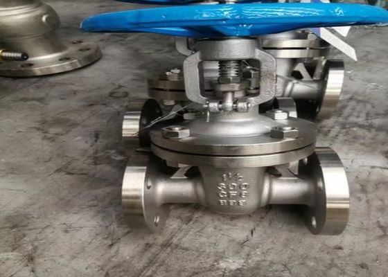1/2 Inch Bolted Bonnet Valve OEM Services for High Growth Markets Customized