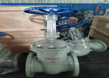 Manual Single Wedge Stainless Steel Butterfly Valve DN10-DN50