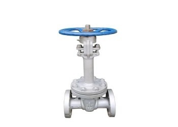 Manual Single Wedge Stainless Steel Butterfly Valve DN10-DN50