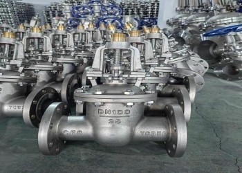 Manual Bolted Bonnet Butterfly Valve DN10-DN50 150lb-1500lb