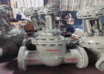 150lb-1500lb Steel Gate Valve with Bolted Bonnet