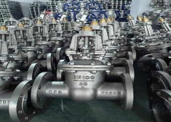 Manual Gate Valve 1/2 Inch DN10-DN50 API ANSI DIN GOST
