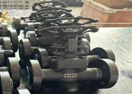 Manual Steel Gate Valve With Bolted Bonnet DN10-DN50 150lb-1500lb High Corrosion Resistance